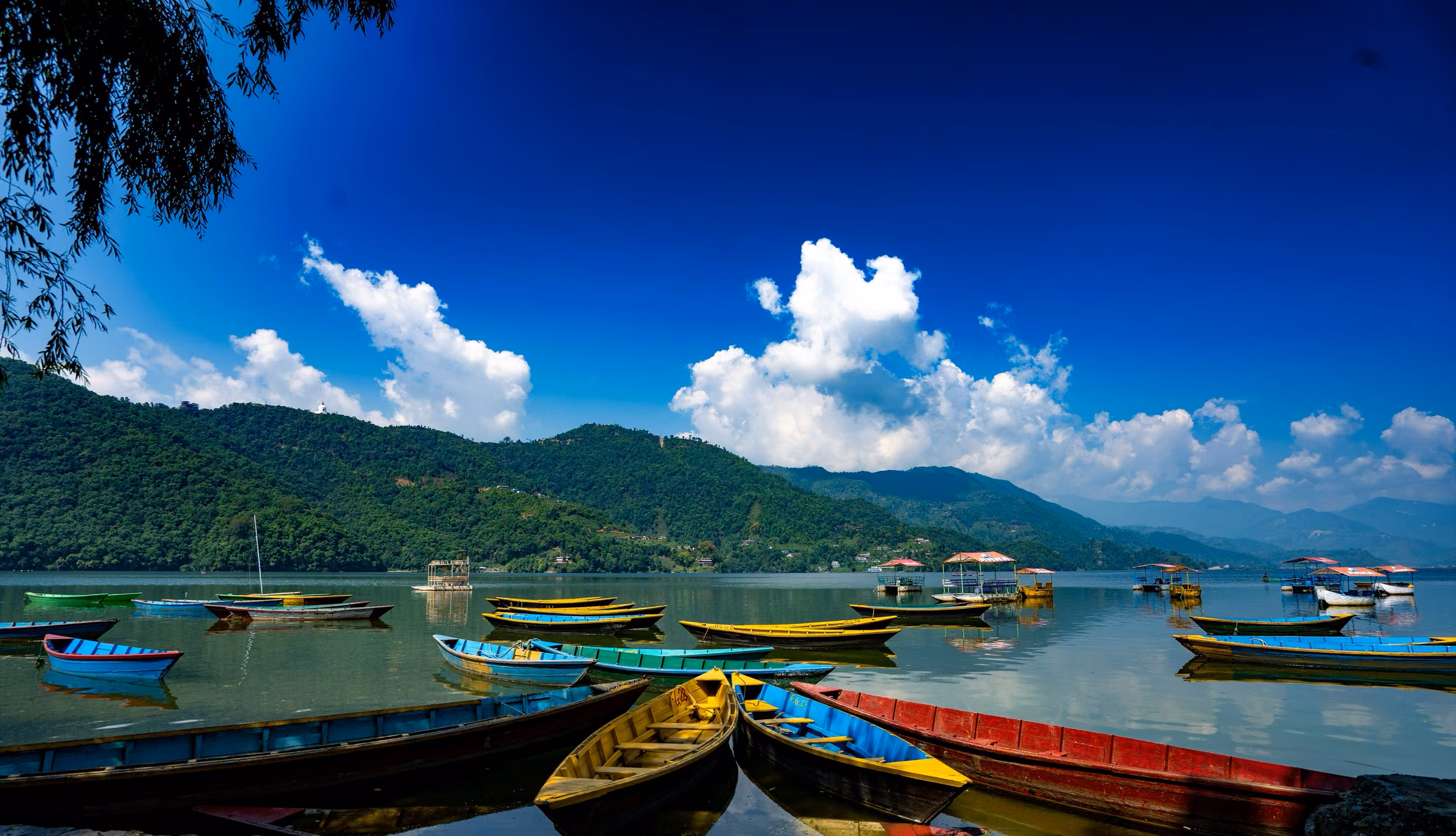 Boats resting on the shore of Phewa Lake with the green hillside in the background