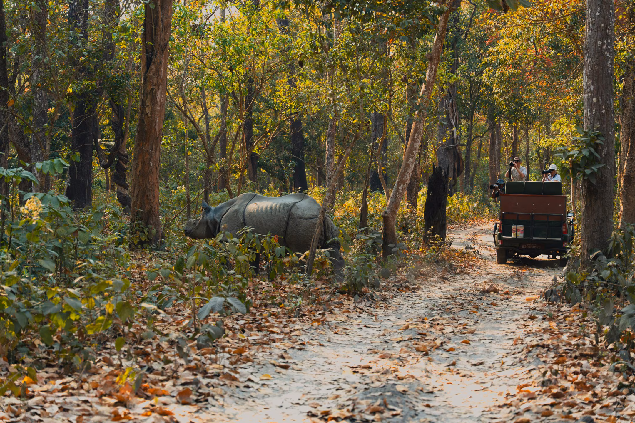 People on a jeep safari photographing a wild rhino in Chitwan