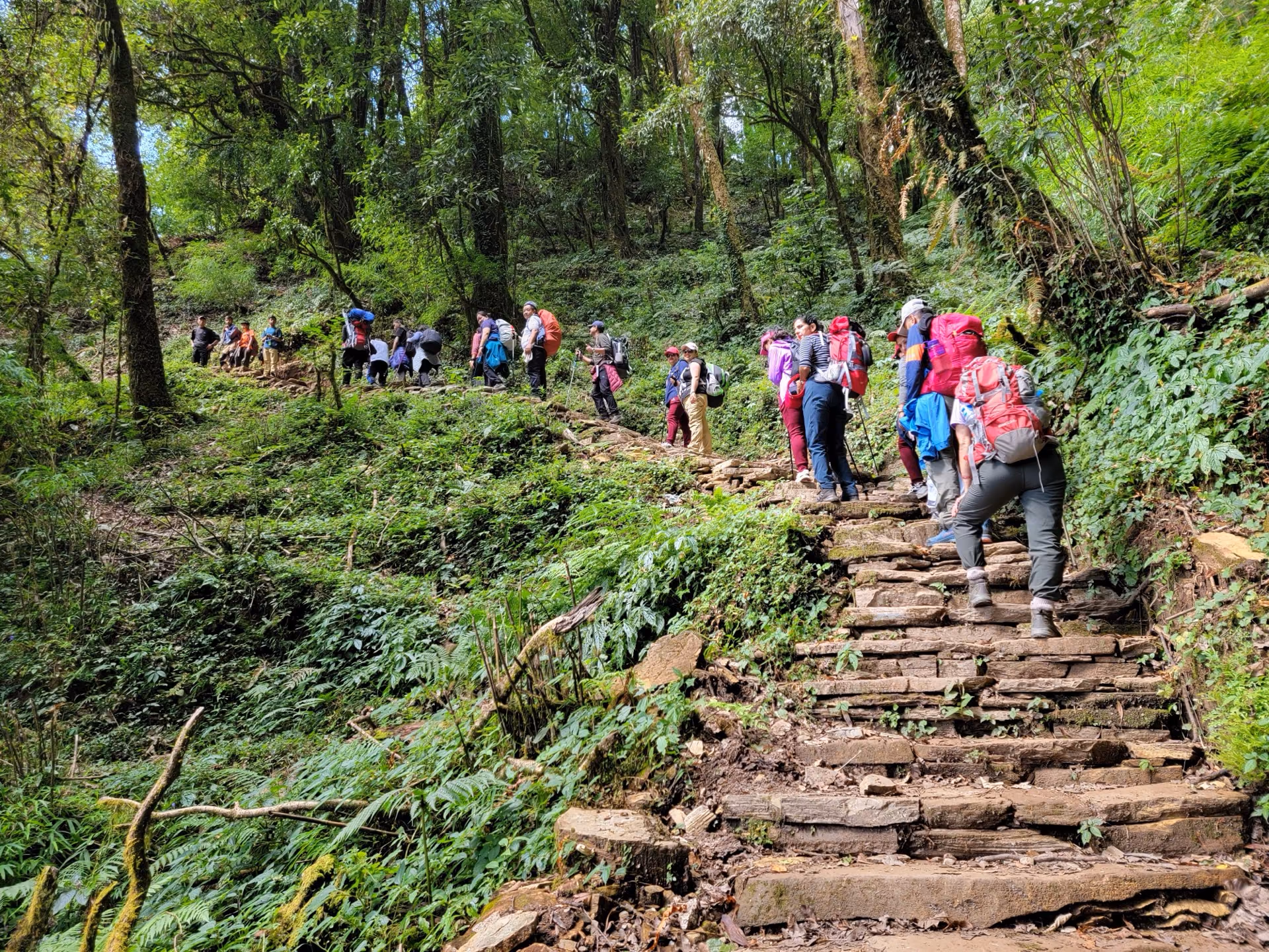 A queue of trekkers on a Nepal trail heading into the mountains
