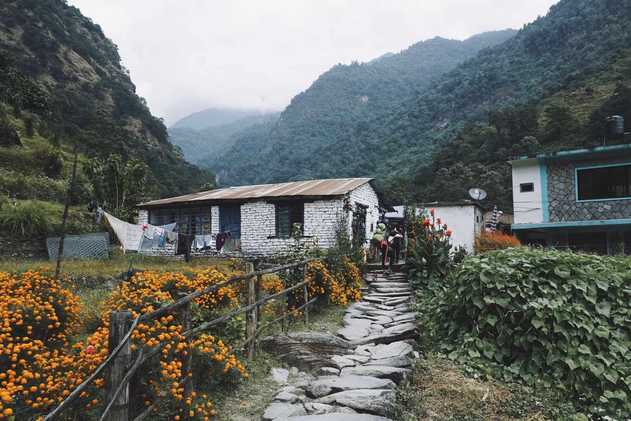 A tea house on the trekking trail lined with flowers, with green hills behind